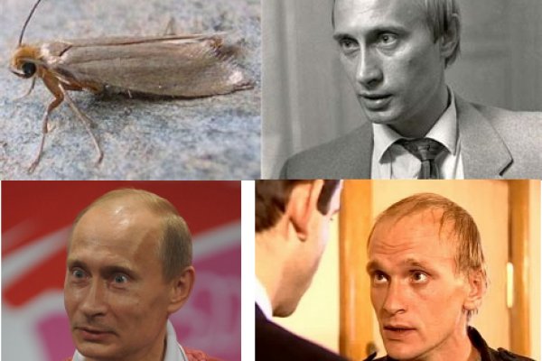 Не получается зайти на кракен