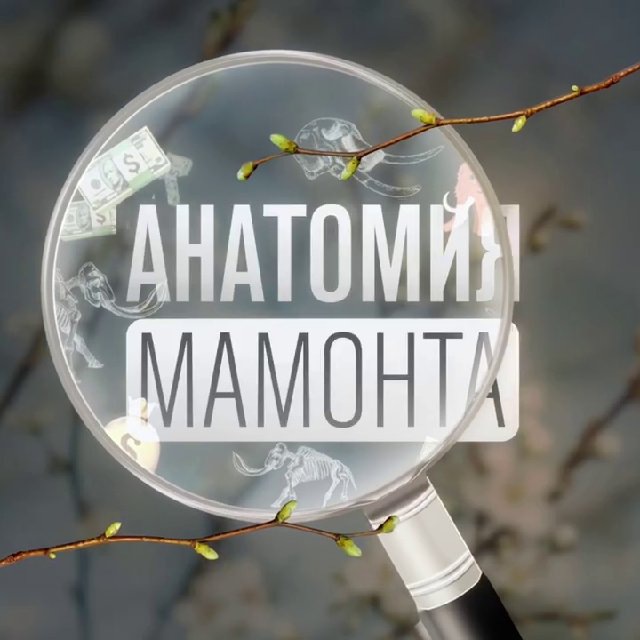 Кракен с айфона