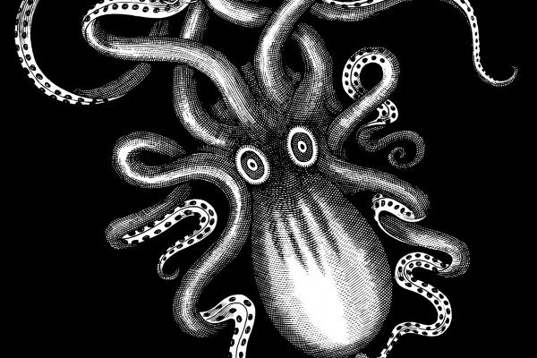 Кракен сайт ссылка kraken dark link