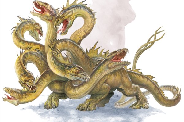 Kraken 13 at com