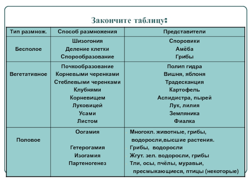 Оригинальные ссылки кракена