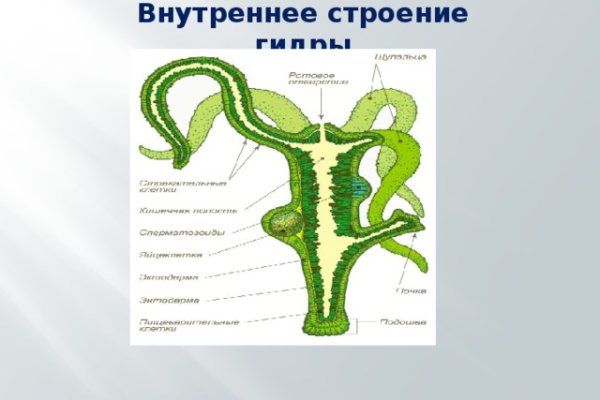 Kraken17 at