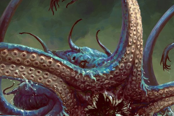 Kraken 19 at