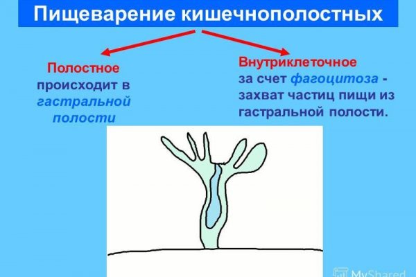 Ссылки на кракена и на мегу