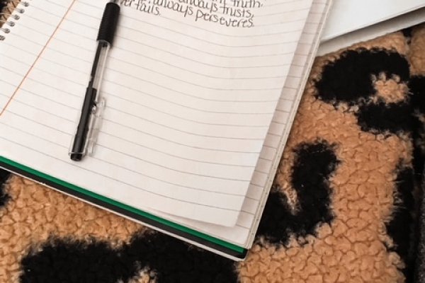 Через какой браузер заходить на кракен