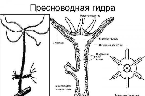 Клирнет ссылка на зеркало маркетплейс кракен