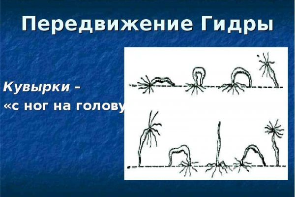 Кракен сайт 18